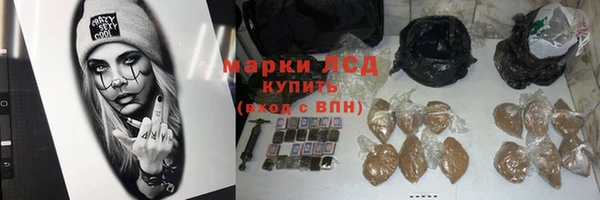 трава Магадан