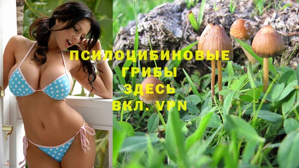 спиды Медногорск
