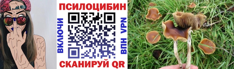Псилоцибиновые грибы MAGIC MUSHROOMS  Находка 
